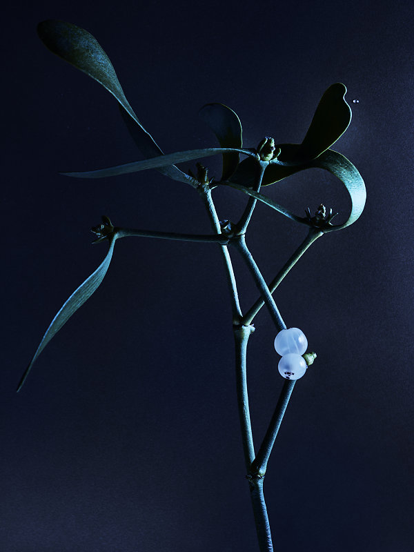 candice-milon-chaumet-les-jardins-de-chaumet-grobia-08.jpg